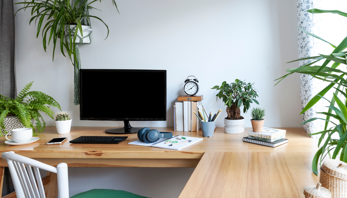 incorporating-nature-and-natural-elements